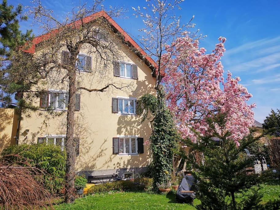 70Qm 3-Zimmer Apartment Am Tauernradweg In Hallein Bei Salzburg, Nahe Berchtesgaden, Rossfeld, Kehlsteinhaus, Obersalzberg, Watzmann, Schoenau Am Koenigsee, Bad Vigaun, Schloss Hellbrunn, Burg Hohen Salzburg, Burg Hohen Werfen # Beherbergungsbetrieb Luaran gambar